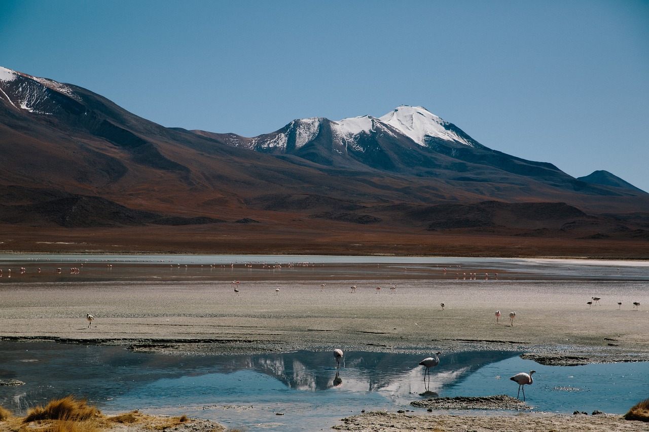 探索未知旅程的最新篇章