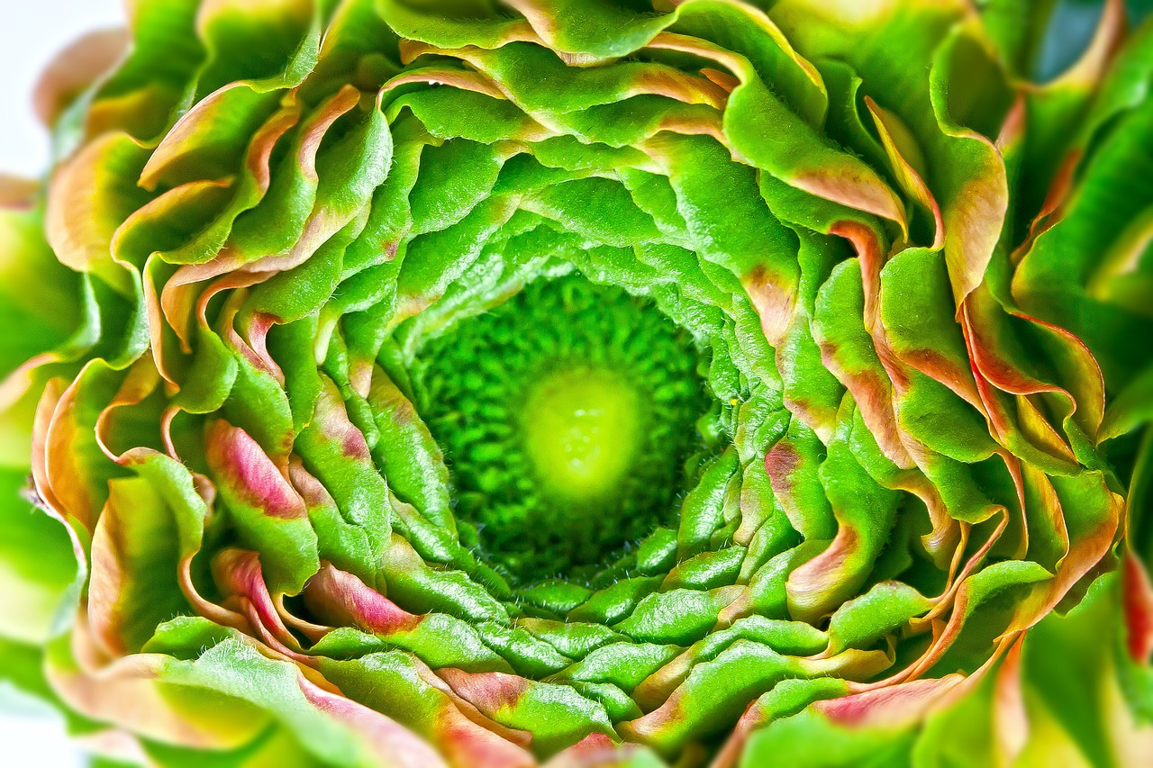 2024年澳门正版全资料,生物工程：推动绿色科技与可持续发展的未来