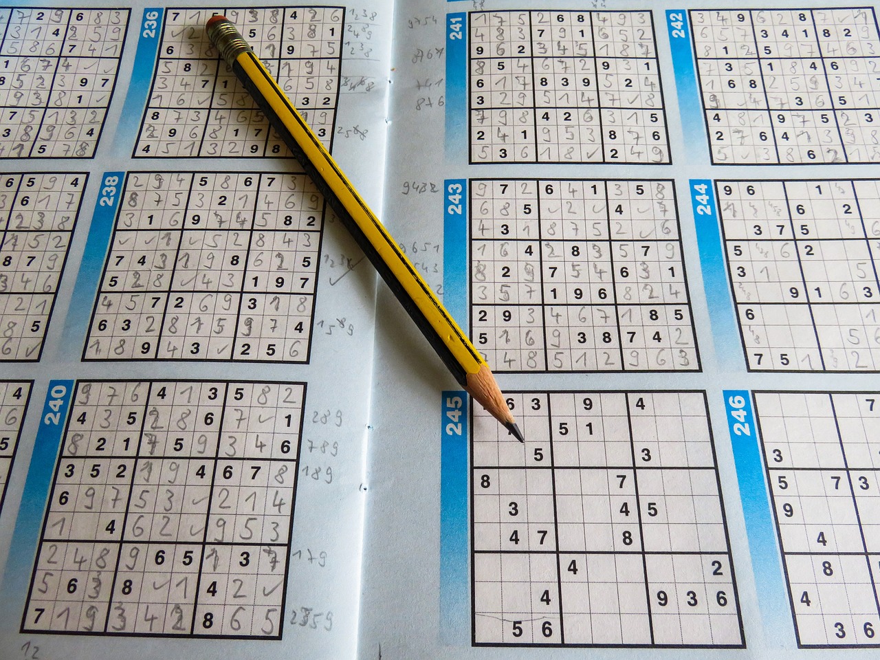 奥门天天开奖码结果2024澳门开奖记录4月9日，快速解答方案实践，媒体版BX82.668