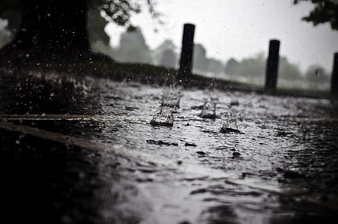 洪水肆虐下的最新大雨，挑战与应对策略