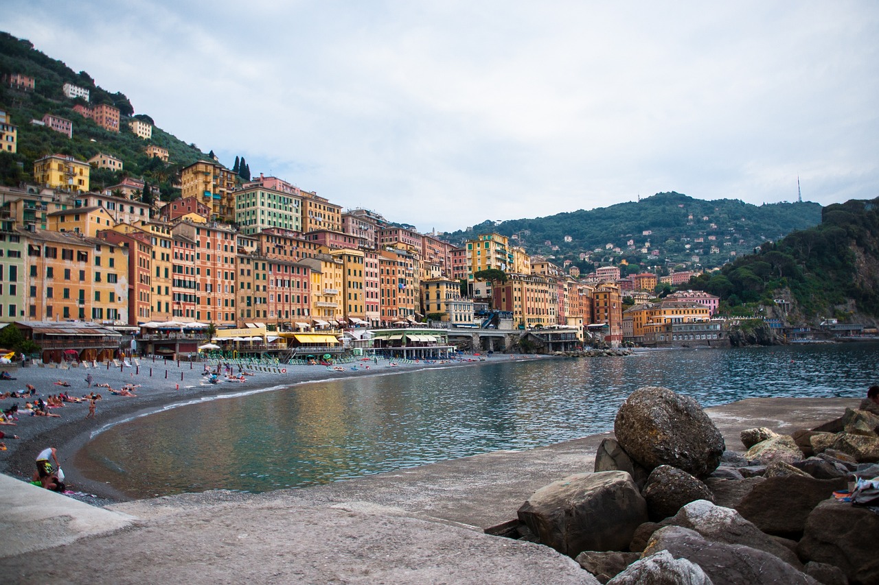 今日纸浆最新价格动态,价格走势、影响因素及分析